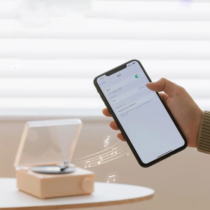 Vinylvelve - Classic